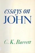 Essays on John