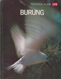 Burung