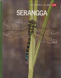 Serangga