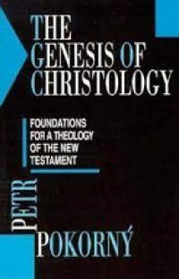 The Genesis of Christology: Foundations for A Theology of the New Testament