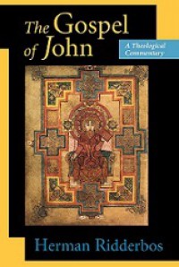 The Gospel According to John: A Theological Commentary