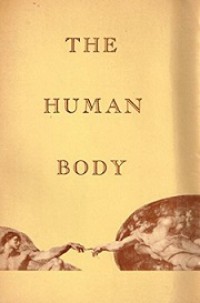 The Human Body