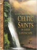 Celtic Saints: In Their Landscape