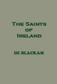 The Saints of Ireland: The Life-Stories of S.S. Brigid and Columcille